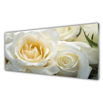 Paneles de pared Rosas flores