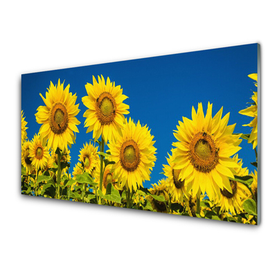 Paneles de pared Girasoles planta