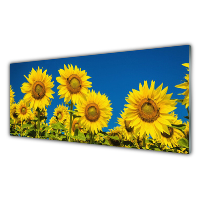 Paneles de pared Girasoles planta