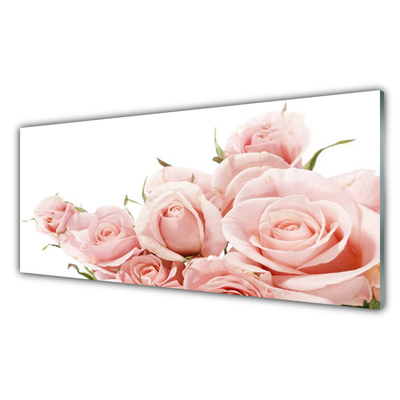 Paneles de pared Rosas flores planta