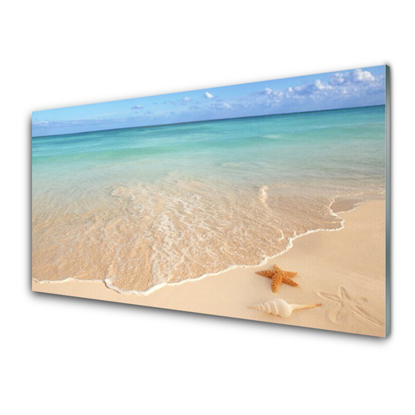 Paneles de pared Playa estrella de mar paisaje