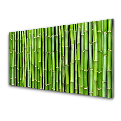 Paneles de pared Bambú flor planta