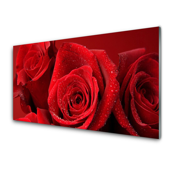 Paneles de pared Rosas flores