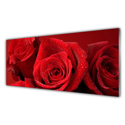 Paneles de pared Rosas flores