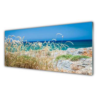 Paneles de pared Playa paisaje