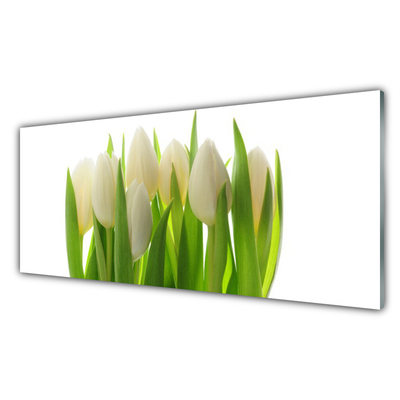 Paneles de pared Tulipanes planta naturaleza