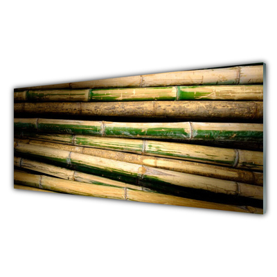 Paneles de pared Bambú planta naturaleza