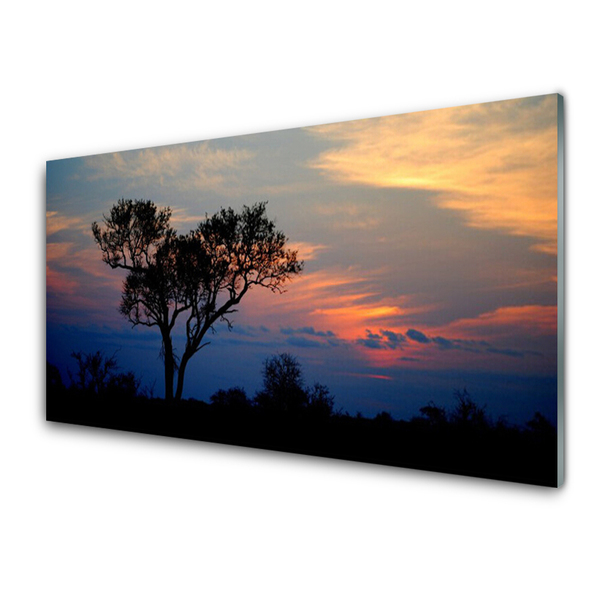 Paneles de pared Árbol naturaleza