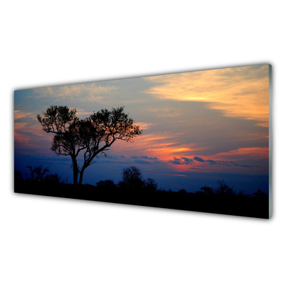 Paneles de pared Árbol naturaleza