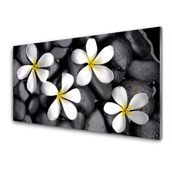 Paneles de pared Flores planta naturaleza