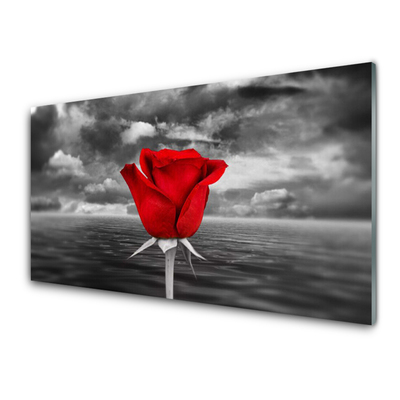 Paneles de pared Rosa flor planta mar