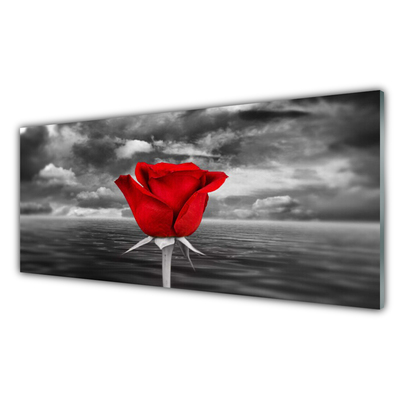 Paneles de pared Rosa flor planta mar