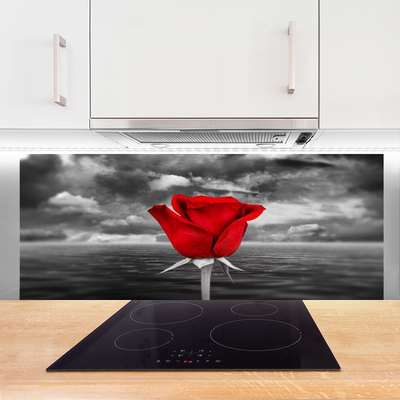 Paneles de pared Rosa flor planta mar