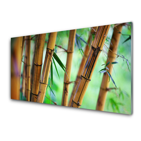 Paneles de pared Bambú naturaleza planta