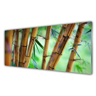 Paneles de pared Bambú naturaleza planta