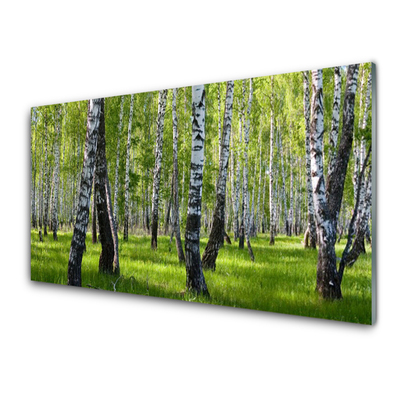 Paneles de pared Bosque árboles naturaleza