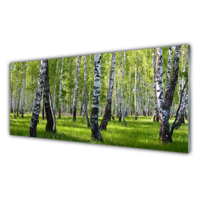 Paneles de pared Bosque árboles naturaleza