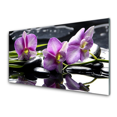 Paneles de pared Flor orquídea planta