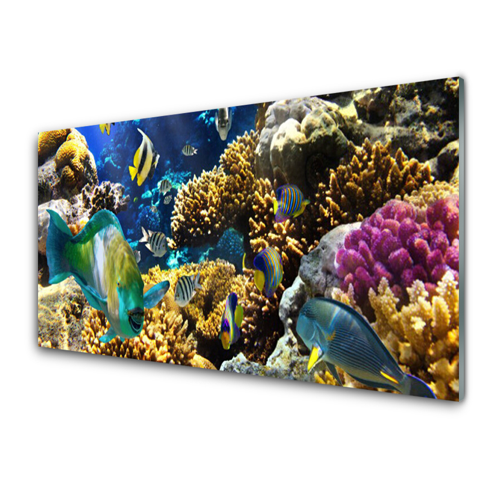 Paneles de pared Arrecife naturaleza