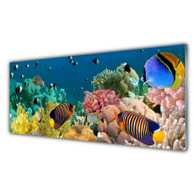 Paneles de pared Arrecife naturaleza