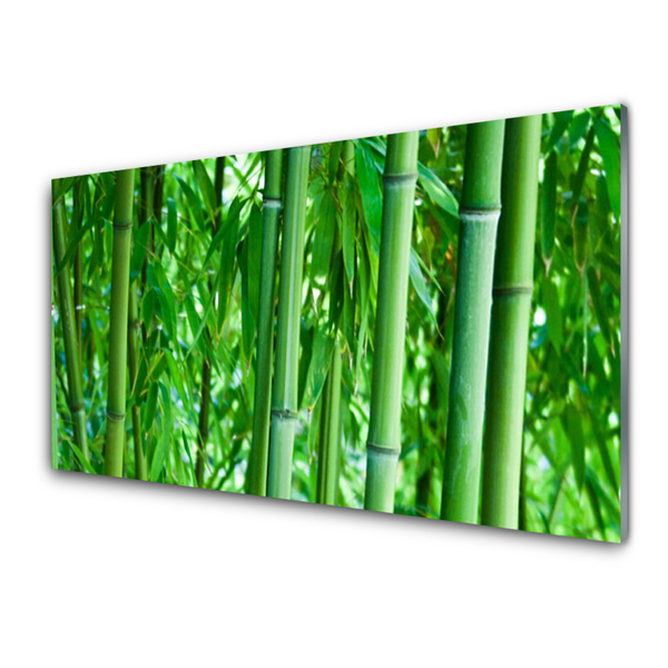 Paneles de pared Bambú tallo planta