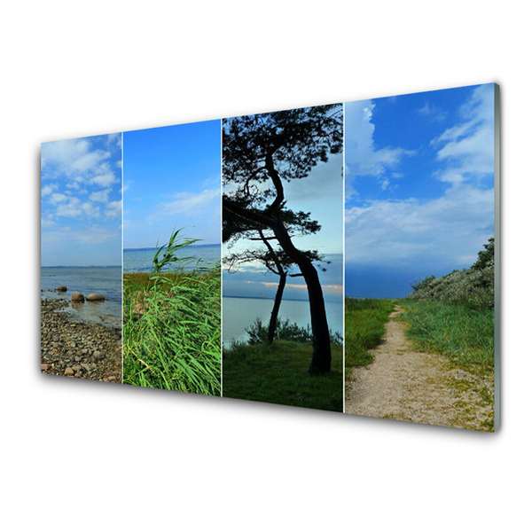 Paneles de pared Playa árbol paisaje