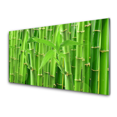 Paneles de pared Bambú tallo flor planta