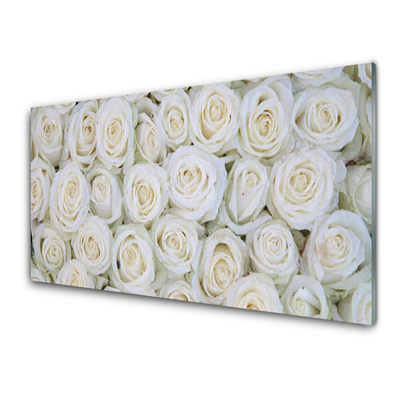 Paneles de pared Rosas flores planta