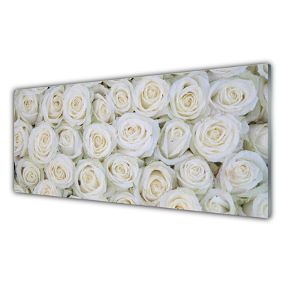Paneles de pared Rosas flores planta