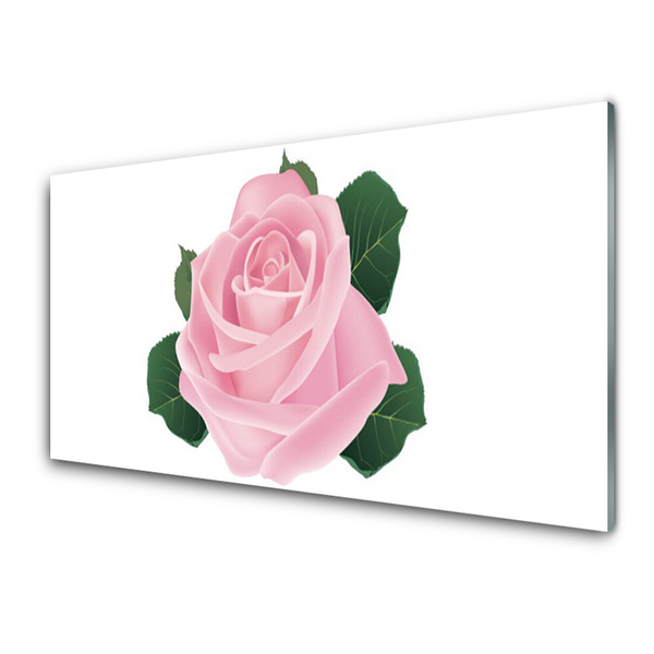 Paneles de pared Rosa flor planta naturaleza