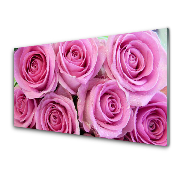 Paneles de pared Rosas flores planta