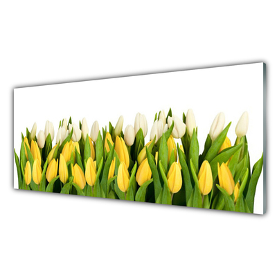 Paneles de pared Tulipanes flores planta