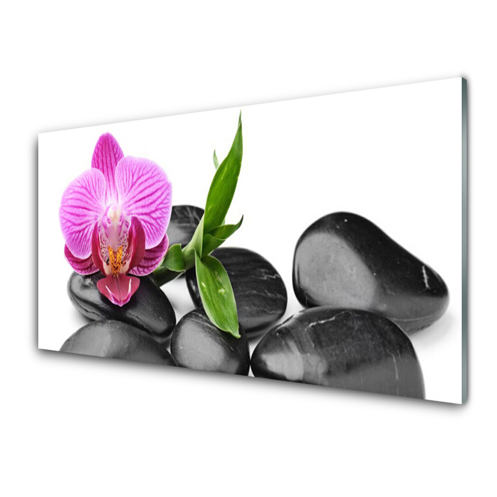 Paneles de pared Flor piedras arte