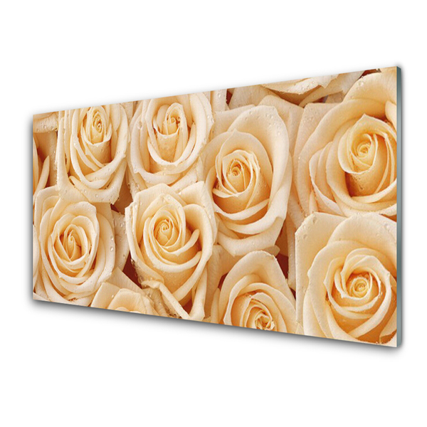 Paneles de pared Rosas flores planta