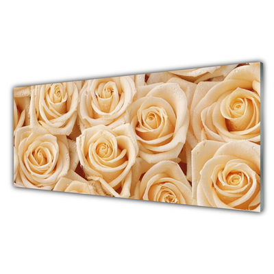 Paneles de pared Rosas flores planta