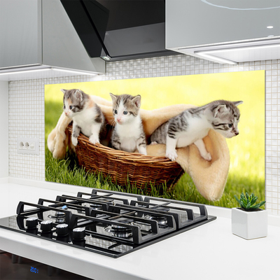 Paneles de vidrio para la cocina Gatos animales