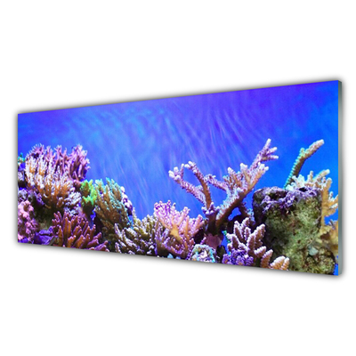 Paneles de vidrio para la cocina Arrecife naturaleza