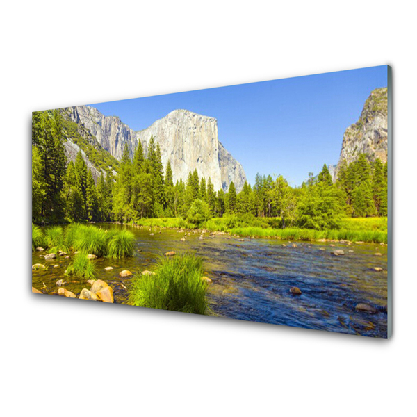 Paneles de vidrio para la cocina Lago monte bosque naturaleza