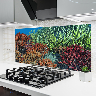 Paneles de vidrio para la cocina Arrecife naturaleza