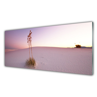 Paneles de vidrio para la cocina Desierto arena paisaje