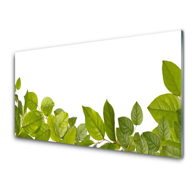 Paneles de vidrio para la cocina Hojas naturaleza planta