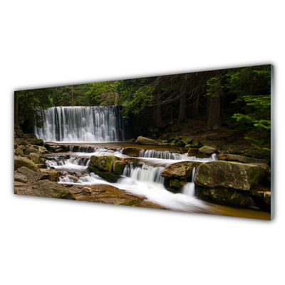 Paneles de vidrio para la cocina Salto del agua bosque naturaleza