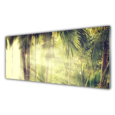 Paneles de vidrio para la cocina Bosque palmeras árboles naturaleza
