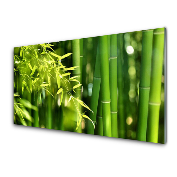 Paneles de vidrio para la cocina Bambú hojas planta