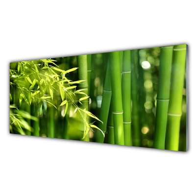 Paneles de vidrio para la cocina Bambú hojas planta