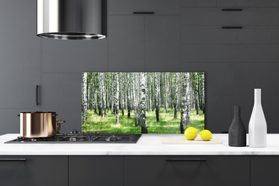 Paneles de vidrio para la cocina Bosque hierba planta naturaleza