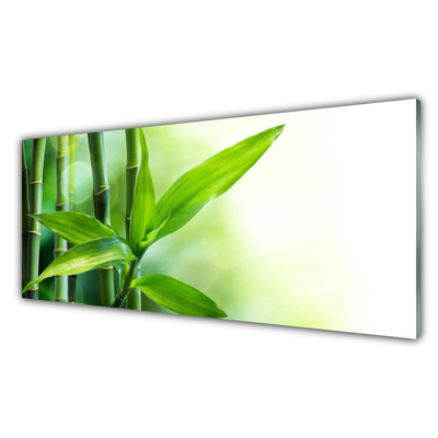 Paneles de vidrio para la cocina Bambú hoja planta naturaleza