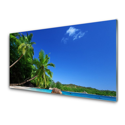 Paneles de vidrio para la cocina Palmera árboles playa paisaje