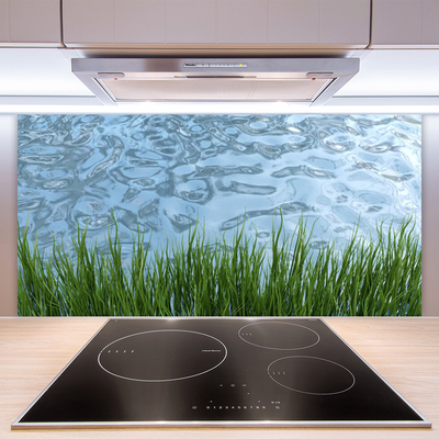 Paneles de vidrio para la cocina Hierba agua naturaleza