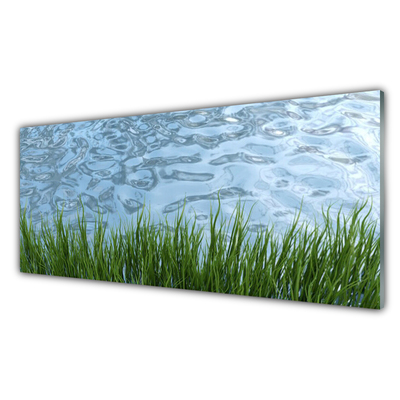 Paneles de vidrio para la cocina Hierba agua naturaleza